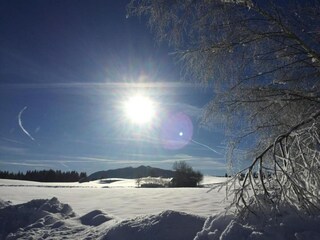 Apartamento Bad Bayersoien Entorno 38