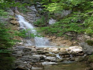 Appartement Bad Bayersoien Environnement 40