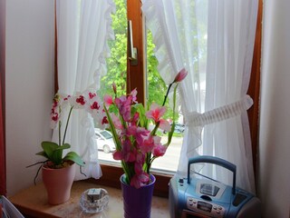 Apartment Bad Bayersoien  23