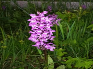 Appartement Bad Bayersoien Omgeving 22