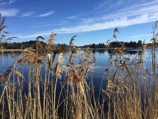 Apartment Bad Bayersoien Environment 33