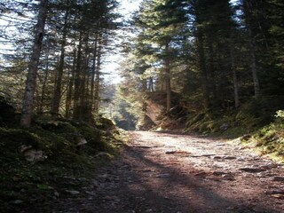 Apartment Altenau bei Saulgrub Umgebung 29