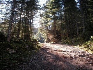 Apartment Altenau bei Saulgrub Environment 23