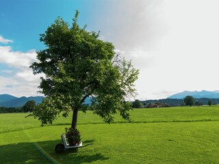 Appartamento Übersee Ambiente 30