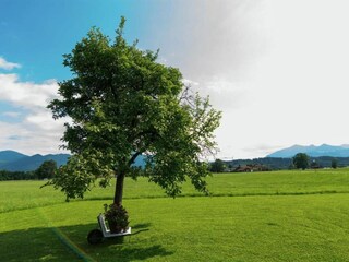 Appartamento Übersee Ambiente 34