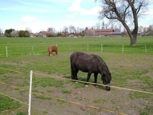 Vakantiehuis in de buurt van het skigebied - Overzee - image1