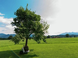 Ferienhaus Übersee Umgebung 36