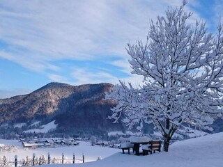 Holiday house Laufen an der Salzach Environment 35