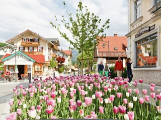 Apartment Laufen an der Salzach Umgebung 24