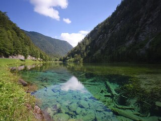 Appartement Laufen an der Salzach Environnement 25