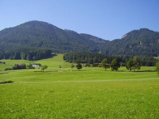 Apartment Laufen an der Salzach Environment 28