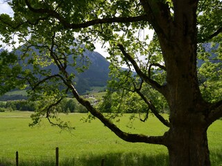 Appartement Schönau am Königssee Omgeving 18