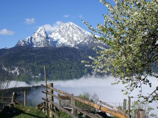 Apartment Schönau am Königssee Umgebung 20