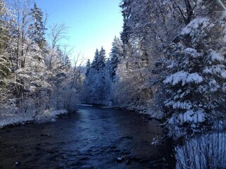 Apartment Schönau am Königssee Environment 23