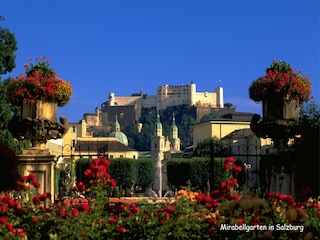 Ferienhaus Tittmoning Umgebung 25