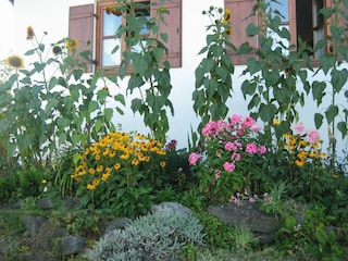 Apartment Ingenried Außenaufnahme 5