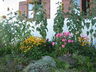 Appartement Ingenried Buitenaudio-opname 4