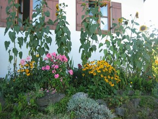 Appartement Ingenried Buitenaudio-opname 5