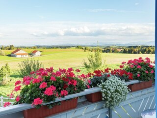 Farmhouse Ingenried Outdoor Recording 5