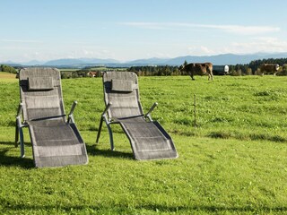 Boerderij Ingenried Buitenaudio-opname 8