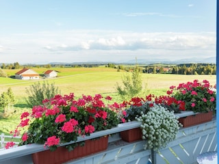 Casa de campo Ingenried Grabación al aire libre 10