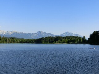 Appartement Prem Environnement 36