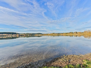 Apartment Urspring Environment 35