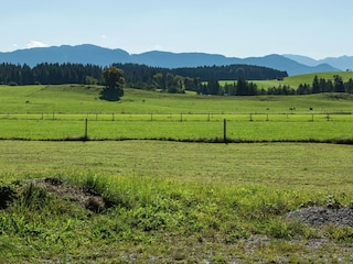 Apartment Urspring Outdoor Recording 3