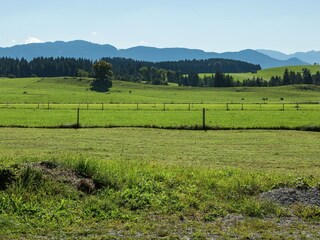 Appartamento Urspring Registrazione all'aperto 4