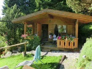 Ferienhaus Blockhaus in Bayern mit überdachter Terrasse - Lechbruck am See - image1