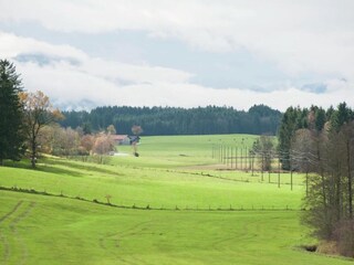 Vakantiehuis Urspring Omgeving 37