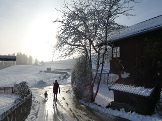 Appartement Urspring  25