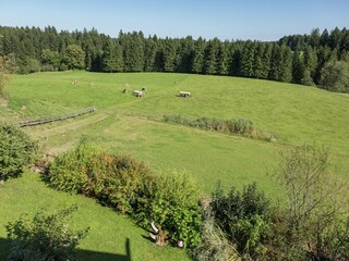 Boerderij Urspring Buitenaudio-opname 8