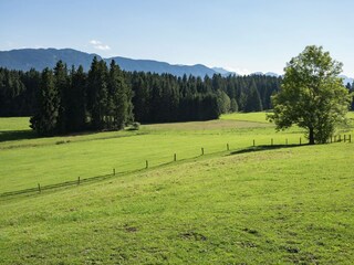 Bauernhof Urspring Umgebung 37