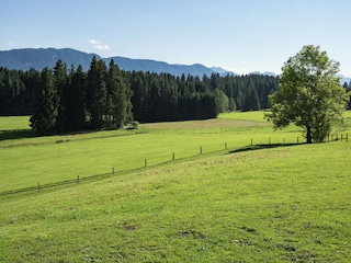 Boerderij Urspring Omgeving 36