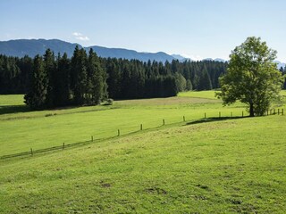 Farmhouse Urspring Environment 23