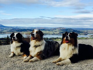 Apartment Halblech Environment 31