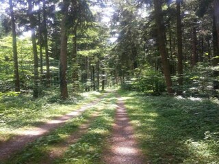 Apartamento Markdorf Entorno 34