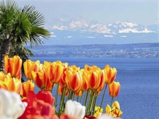 Appartement Bermatingen Environnement 23