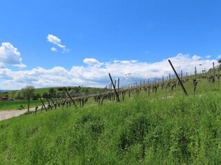 Appartamento Bermatingen Ambiente 24