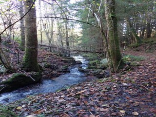 Apartamento Bermatingen Entorno 27