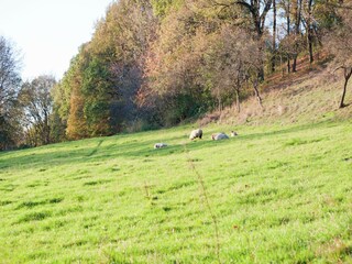 Ferienhaus Weißenburg Umgebung 27
