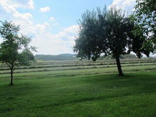 Ferienhaus Neunburg vorm Wald Außenaufnahme 10