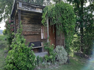 Vakantiehuis Neunburg vorm Wald Omgeving 26
