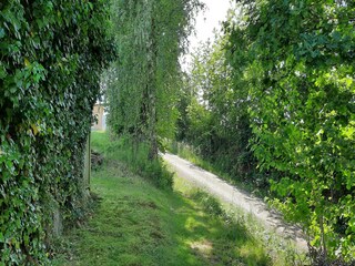 Maison de vacances Neunburg vorm Wald Environnement 27