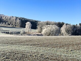 Ferienhaus Neunburg vorm Wald Umgebung 28