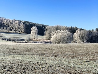 Maison de vacances Neunburg vorm Wald Environnement 28