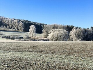 Ferienhaus Neunburg vorm Wald Umgebung 29