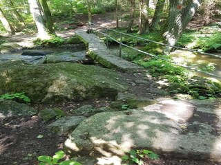 Maison de vacances Neunburg vorm Wald Environnement 30