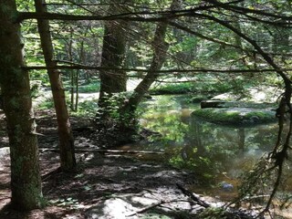 Vakantiehuis Neunburg vorm Wald Omgeving 32